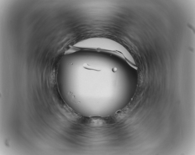 X0000097770376200803211742