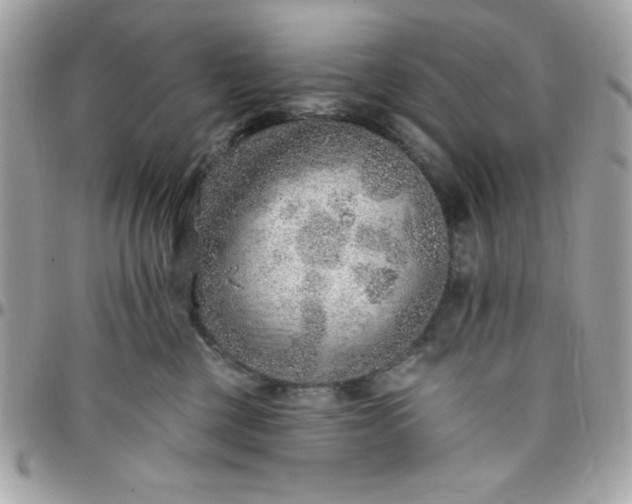 X0000097770377200803211742