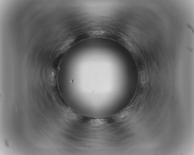 X0000097770378200803211742