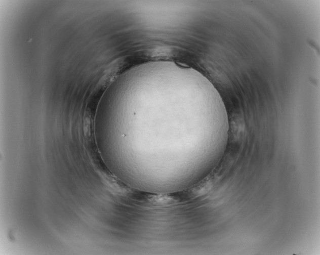 X0000097770379200803211742