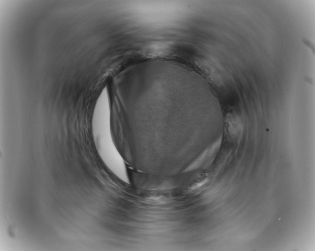 X0000097770380200803211742