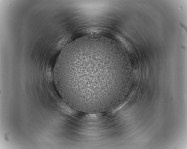 X0000097770381200803211742