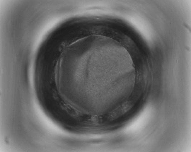 X0000097770383200803211742