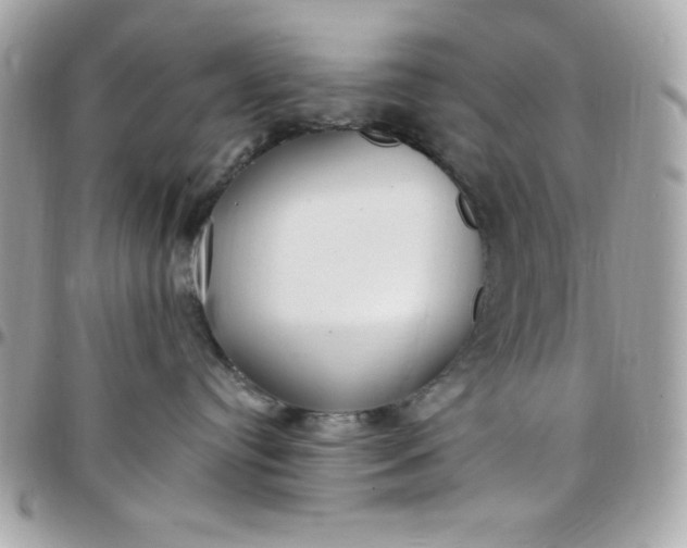 X0000097770384200803211742