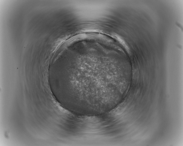 X0000097770385200803211741