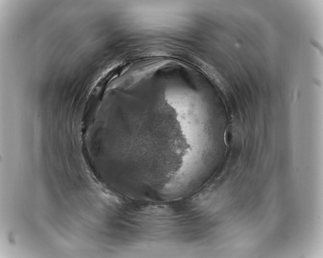 X0000097770386200803211741