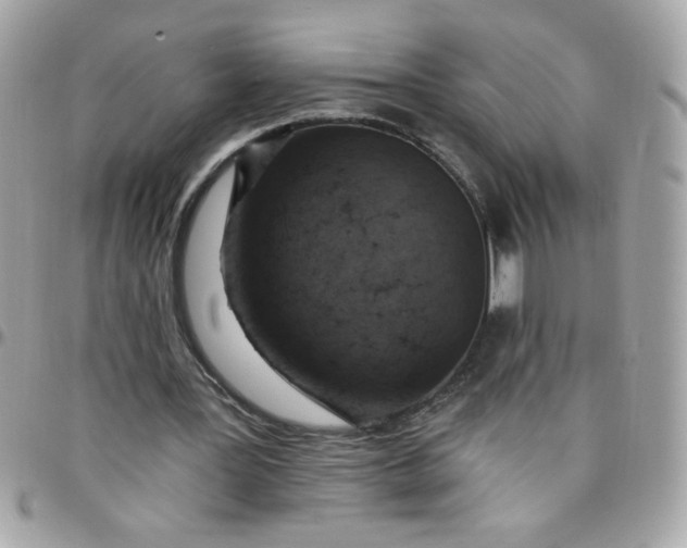 X0000097770387200803211741