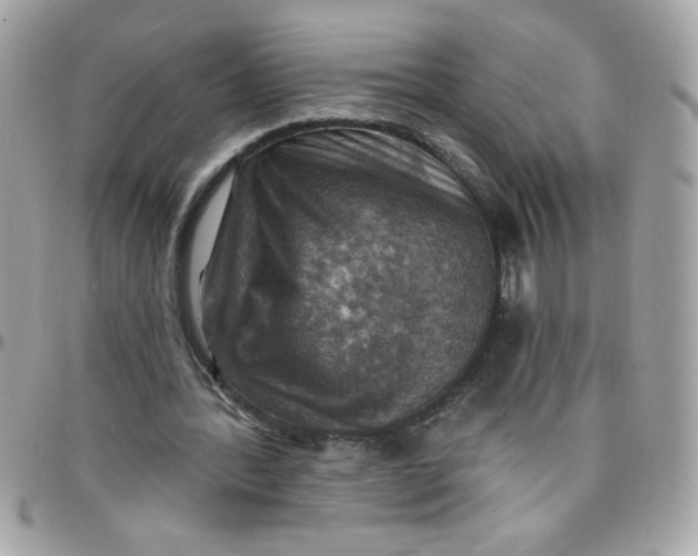 X0000097770388200803211741