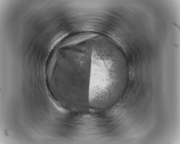 X0000097770390200803211741