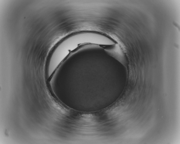 X0000097770391200803211741