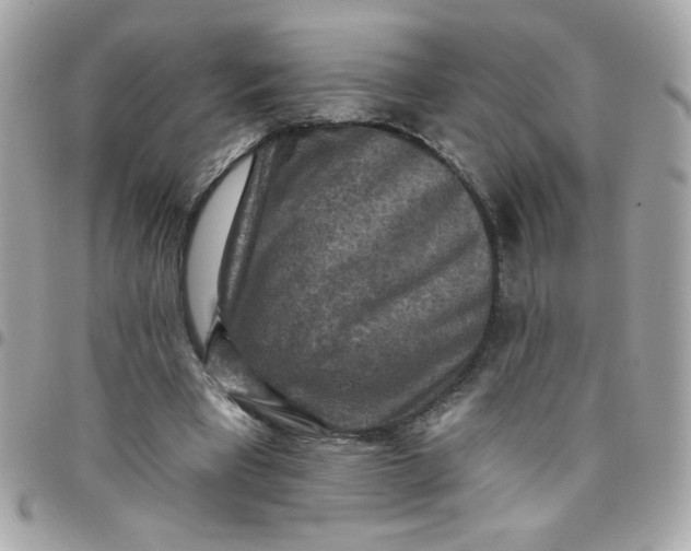 X0000097770393200803211741