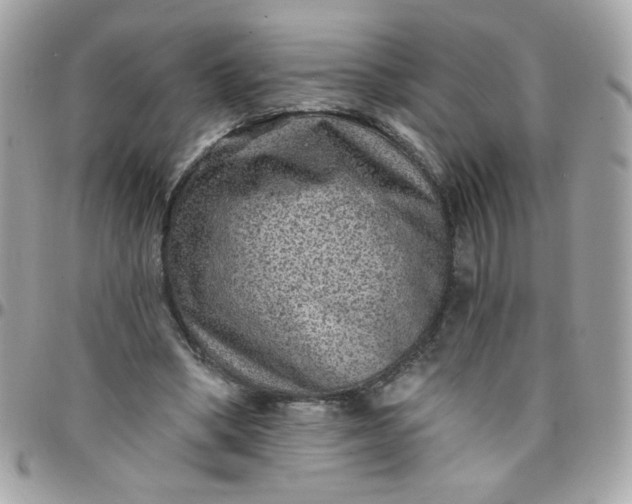 X0000097770394200803211741