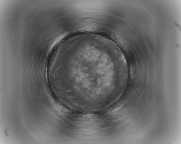 X0000097770396200803211741