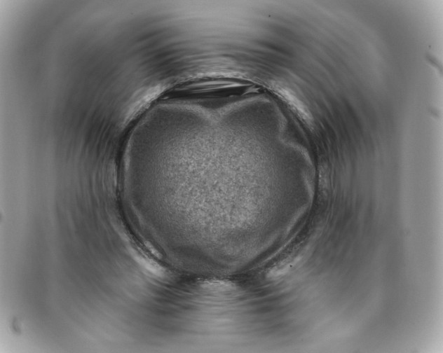 X0000097770397200803211741