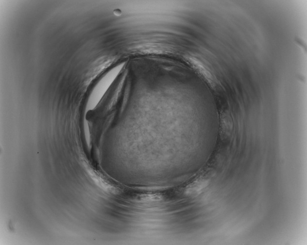 X0000097770398200803211741