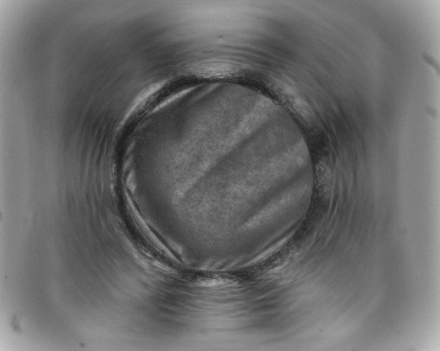 X0000097770400200803211741