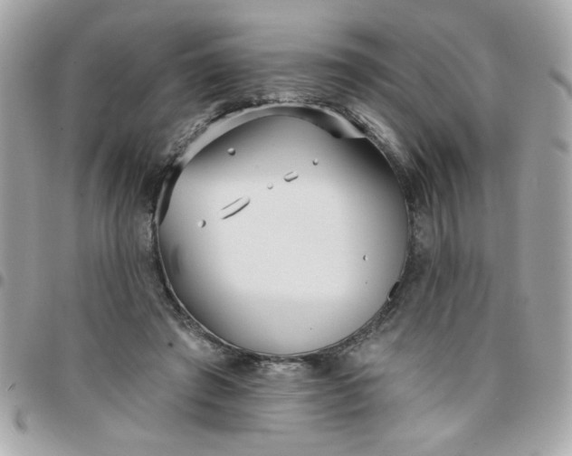 X0000097770401200803211741