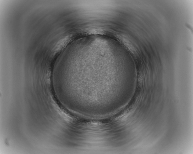 X0000097770402200803211741