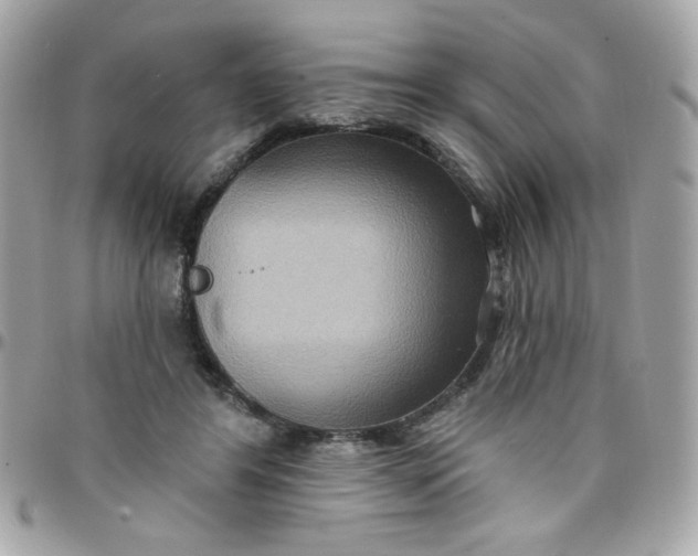 X0000097770404200803211741