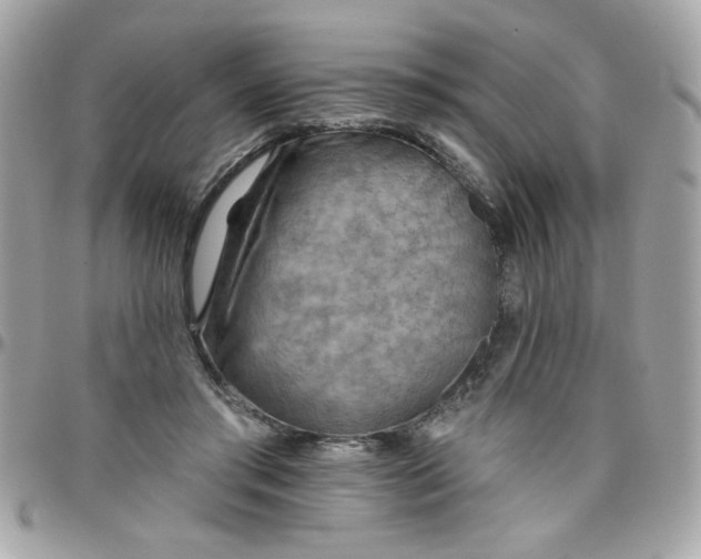 X0000097770405200803211741