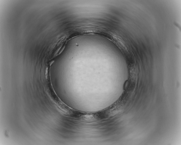 X0000097770406200803211741