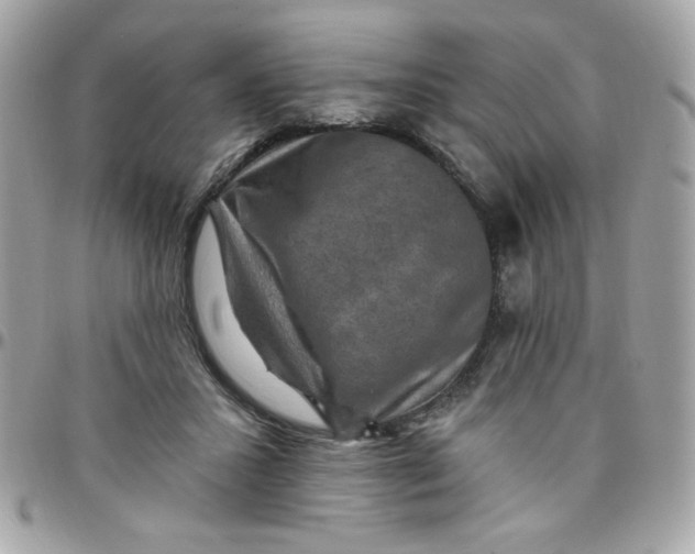 X0000097770407200803211741