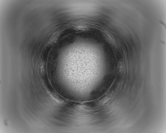 X0000097770408200803211741