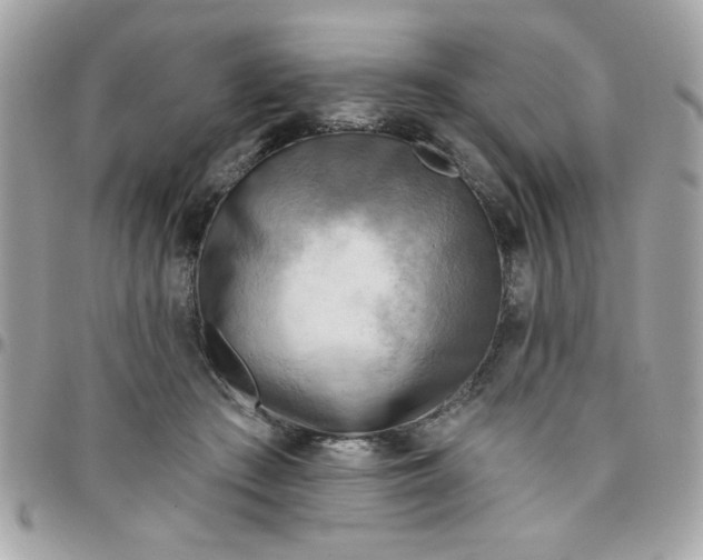 X0000097770409200803211741