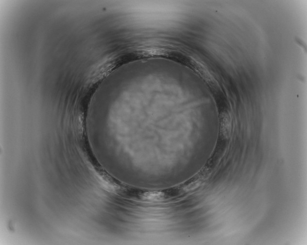 X0000097770410200803211741