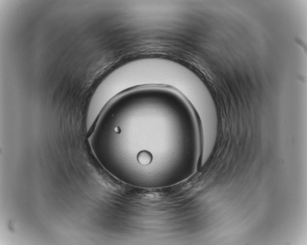 X0000097770411200803211741