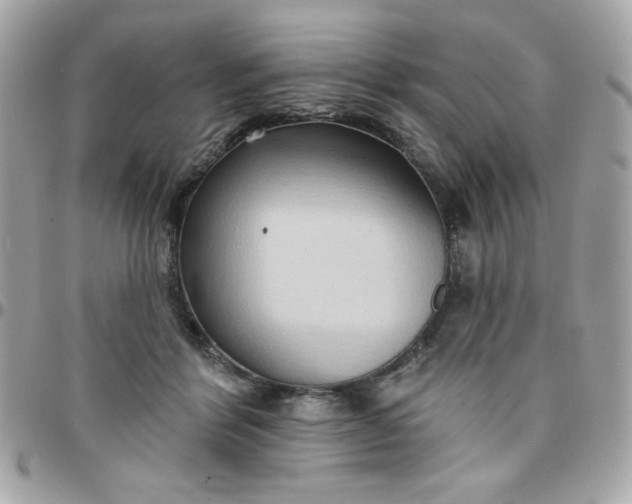 X0000097770412200803211741