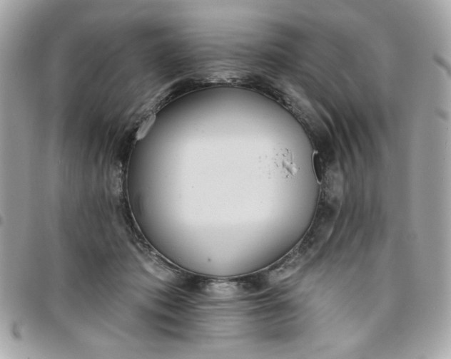 X0000097770413200803211741