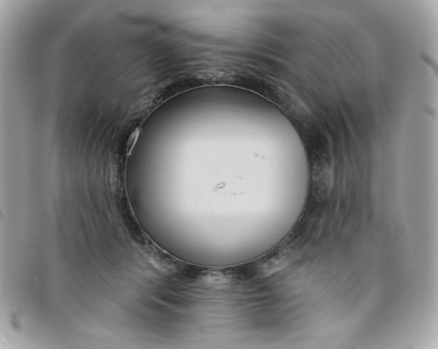 X0000097770416200803211741