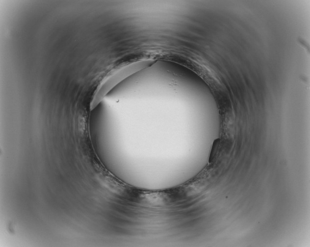 X0000097770417200803211741