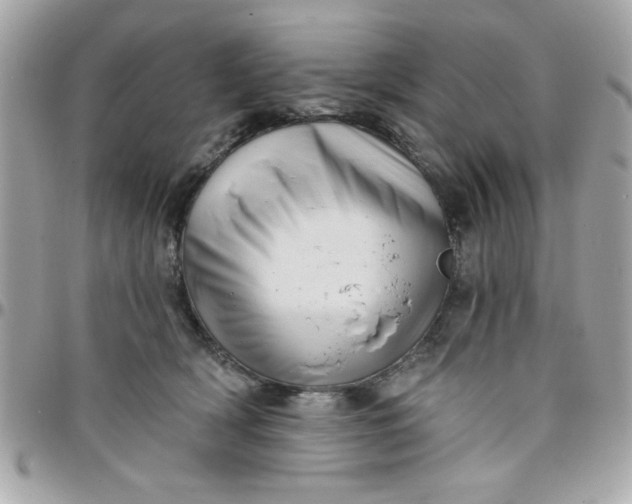 X0000097770418200803211741