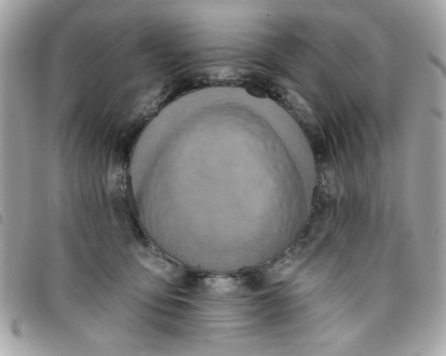 X0000097770419200803211741