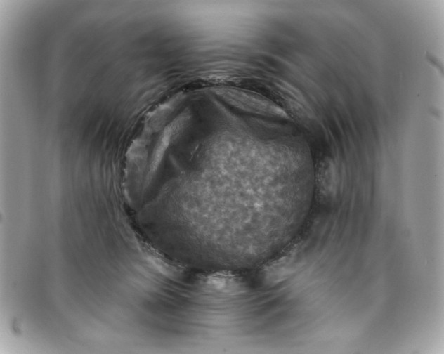 X0000097770420200803211741