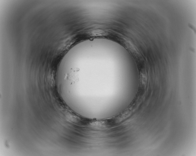 X0000097770422200803211741