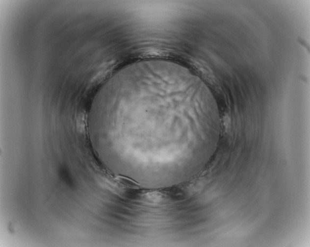 X0000097770423200803211741