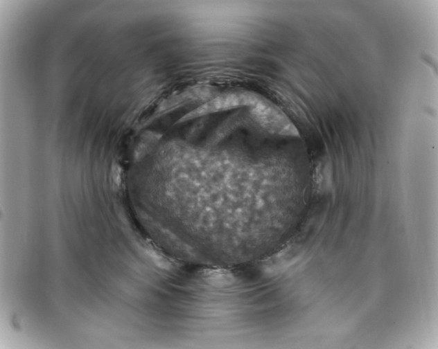 X0000097770424200803211741