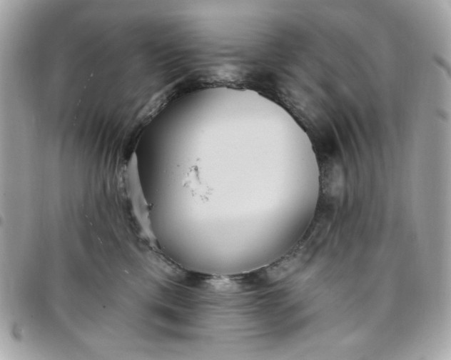 X0000097770425200803211741