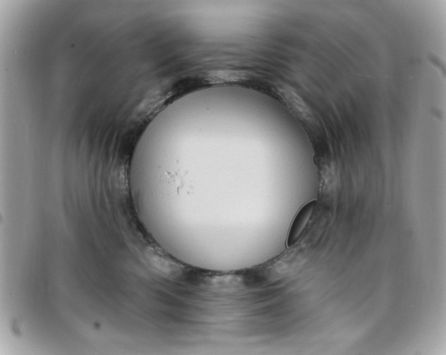 X0000097770426200803211741