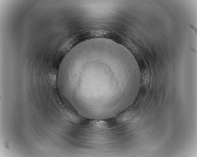 X0000097770427200803211741