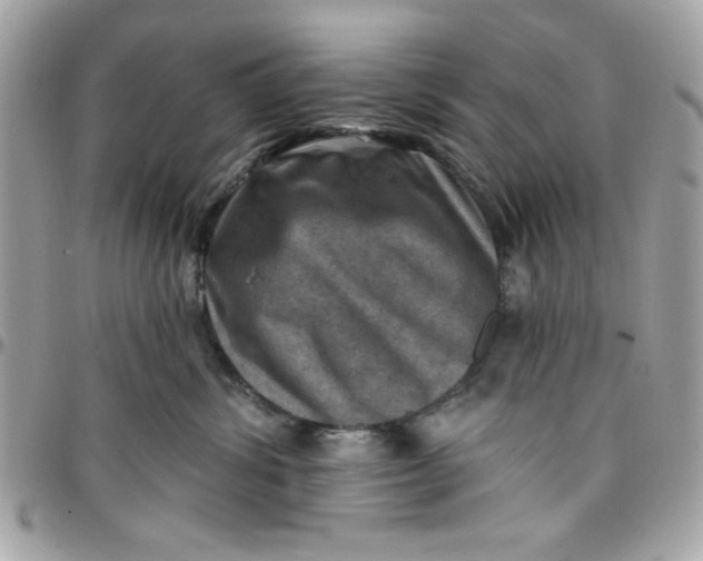 X0000097770428200803211741