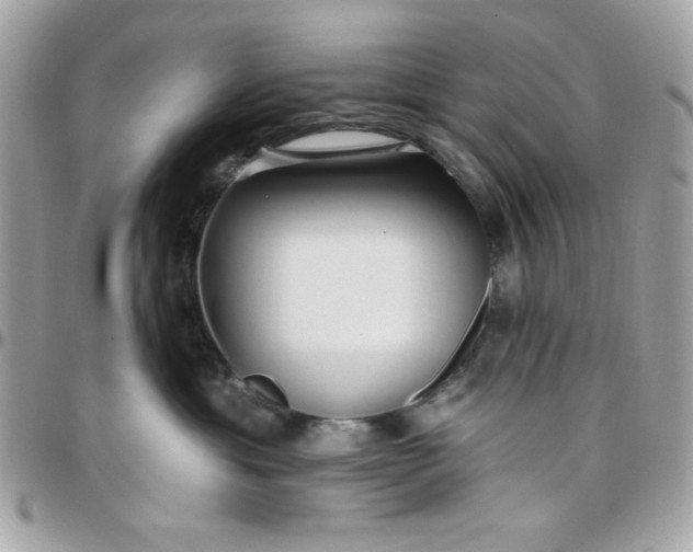 X0000097770429200803211741