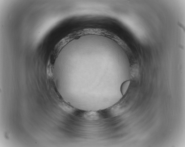 X0000097770431200803211741