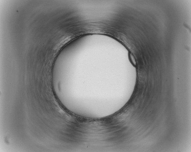 X0000097770433200803211740