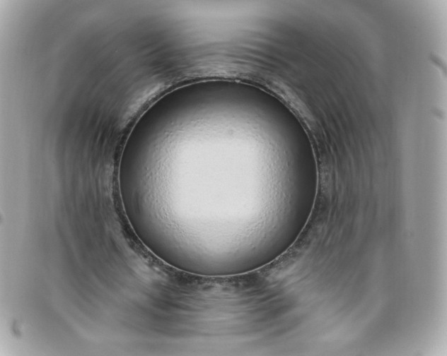 X0000097770434200803211740