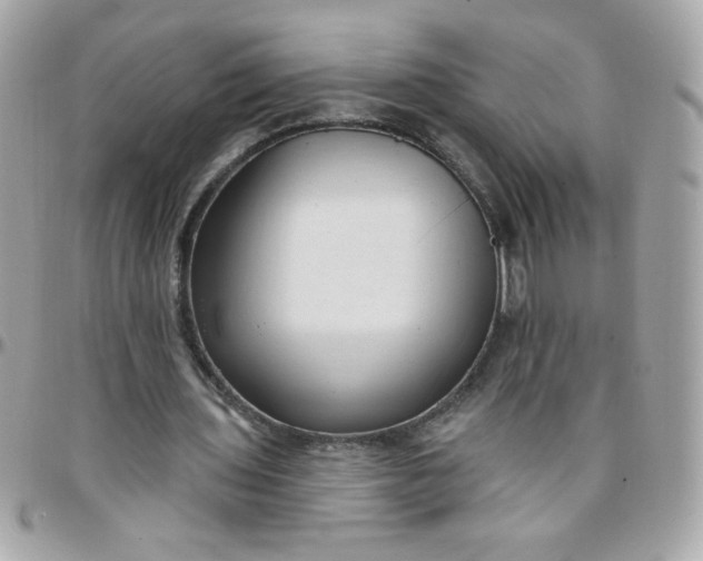 X0000097770435200803211740