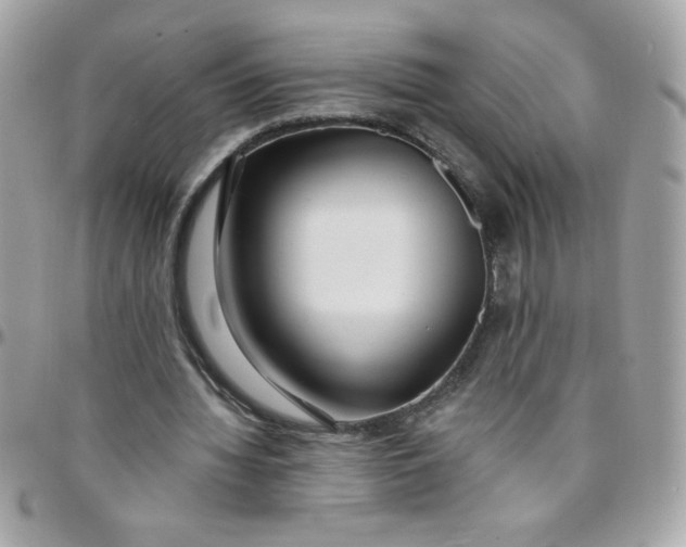 X0000097770436200803211740